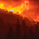 Flames incinerate a forest as the Creek Fire rapidly expands on Sept. 8, 2020 near Shaver Lake, California.